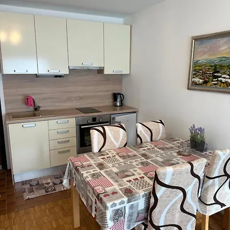 Апартаменты Retro Kaninska Vas *