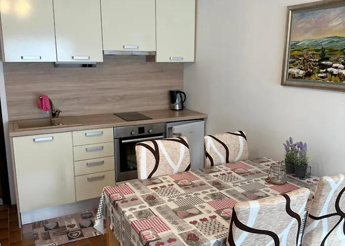 Διαμέρισμα Retro Kaninska Vas *