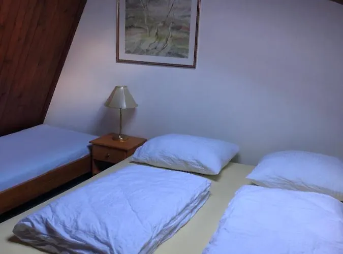 Retro Kaninska Vas شقة *